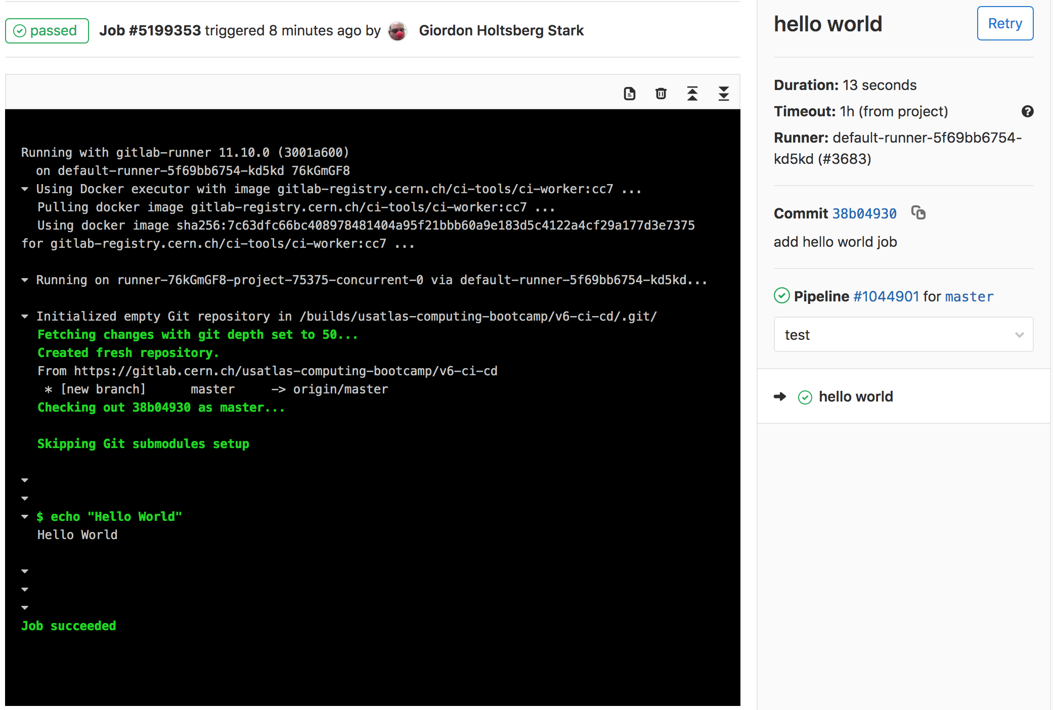 CI/CD Hello World Success Output