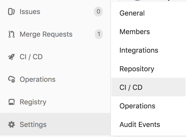 CI/CD Repo Settings